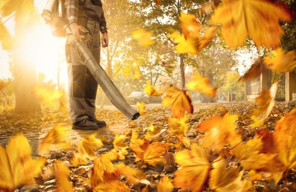 Leaf Blowing Service in Valrico