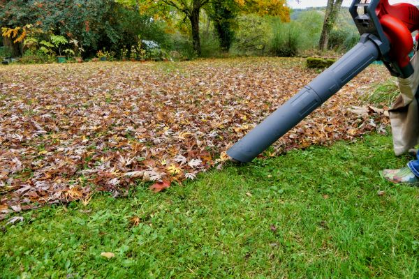 Leaf Vacuuming Service in Valrico