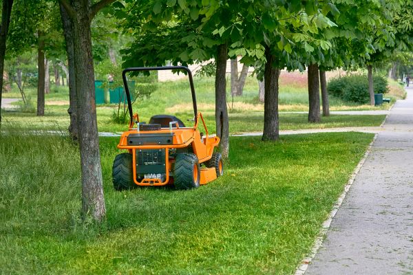 Landscaping Cleanup Service in Valrico