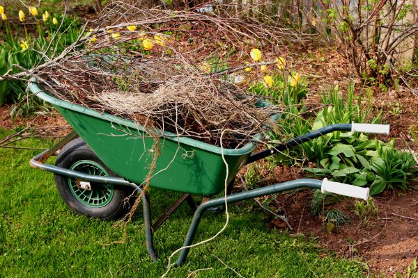 Cost of Lawn Waste Removal in Valrico